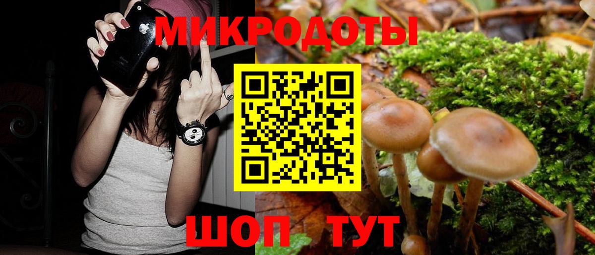 Псилоцибиновые грибы GOLDEN TEACHER  Вход с VPN  Псилоцибиновые грибы MAGIC MUSHROOMS  Шатура 