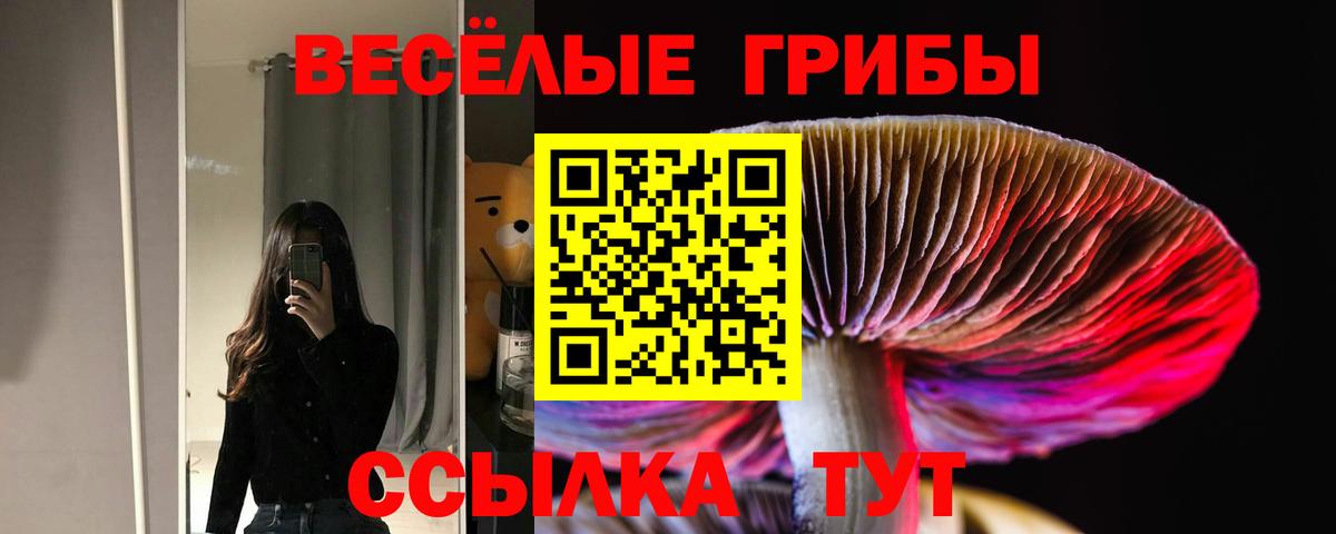 Псилоцибиновые грибы мухоморы Шатура